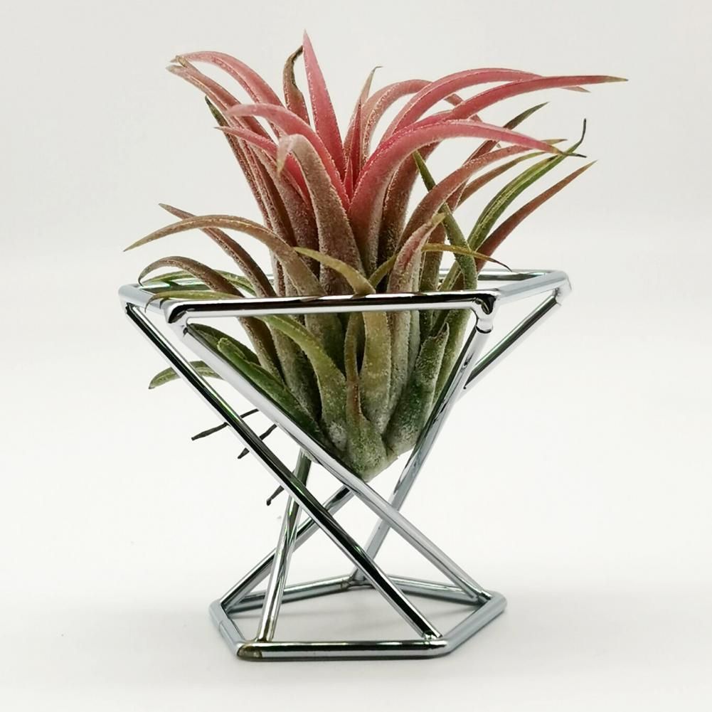 3PCS Geometric Metal Plant Display Rack Elegant Nordic Style Widely Use Air Plant Stand Holder Minimalist Flower Vase For Home Silver