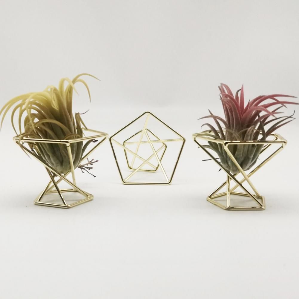 3PCS Geometric Metal Plant Display Rack Elegant Nordic Style Widely Use Air Plant Stand Holder Minimalist Flower Vase For Home Silver