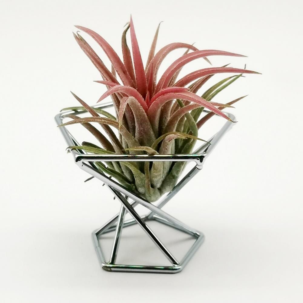 3PCS Geometric Metal Plant Display Rack Elegant Nordic Style Widely Use Air Plant Stand Holder Minimalist Flower Vase For Home Silver