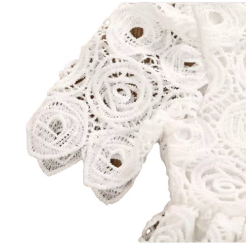 Baby Hole Lace Chiffons Dress