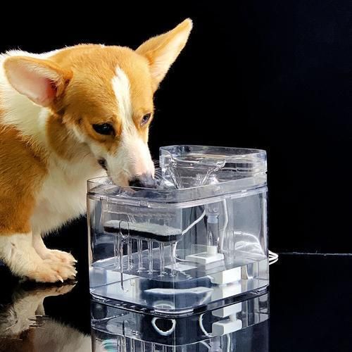 3L Transparent Square Cat Water Fountain Automatic Circulating Water Dispenser Kitten Dog Puppy Pet Drinking Product