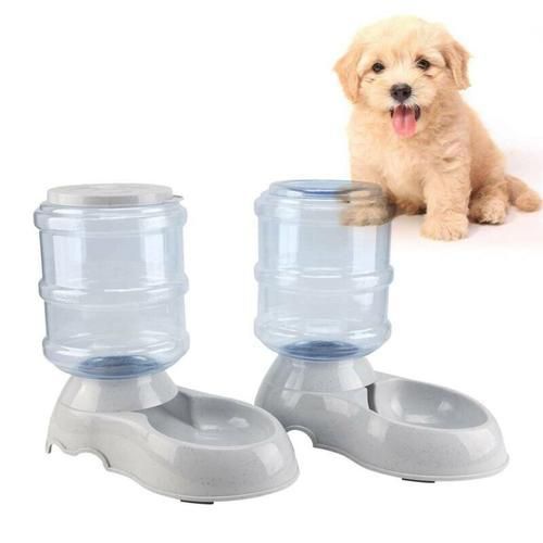 Automatic Pet Food And Drink Dispenser