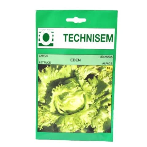 Hybrid Eden Lettuce Seeds - Iceberg - 10g