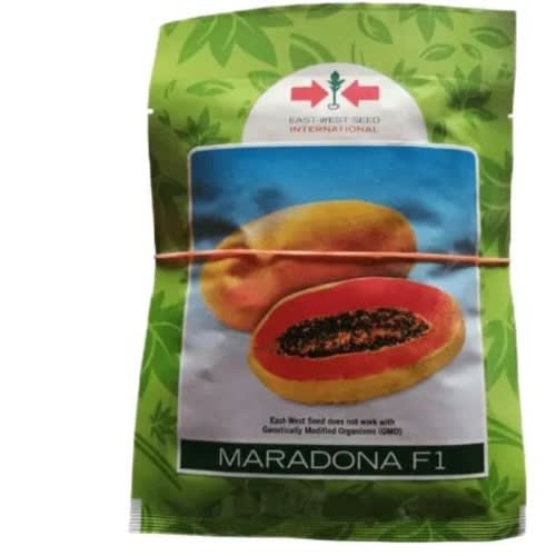 East West - Hybrid Dwarf Papaya Seed - Maradona F1 - 100 Seeds