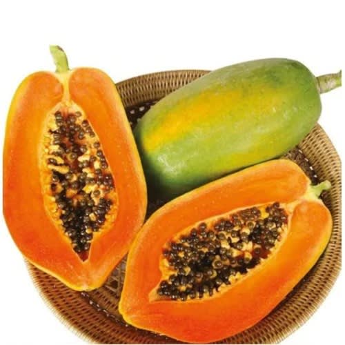 East West - Hybrid Dwarf Papaya Seed - Maradona F1 - 100 Seeds