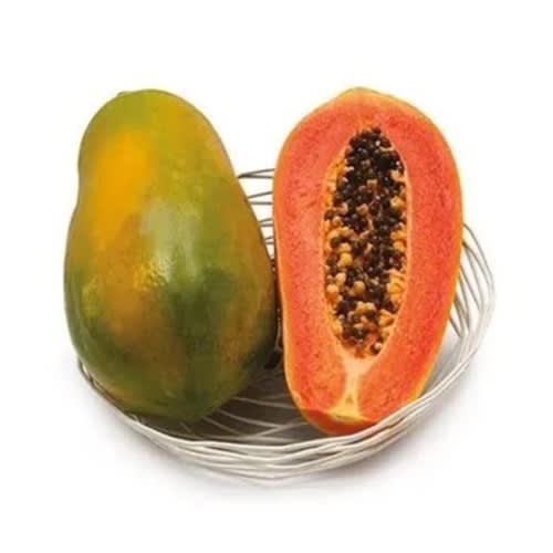 East West - Hybrid Dwarf Papaya Seed - Maradona F1 - 100 Seeds